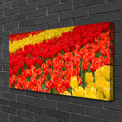 Canvas foto Tulpen bloemen