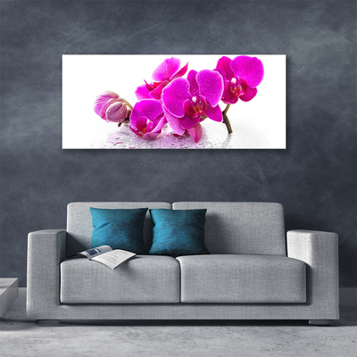 Canvas foto Bloemen van het viooltje
