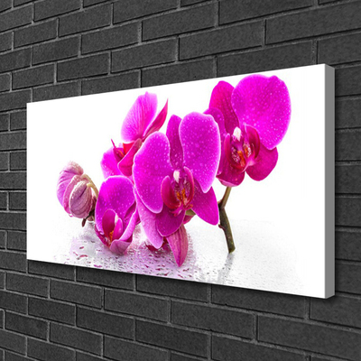 Canvas foto Bloemen van het viooltje