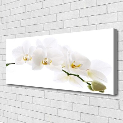 Canvas foto Orchidee bloemen