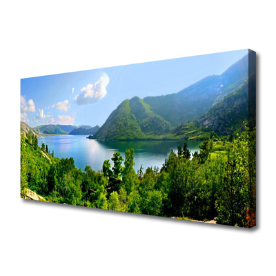 Canvas foto Bos bergenlandschap lake