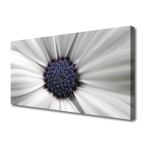 Canvas foto Bloemen planten