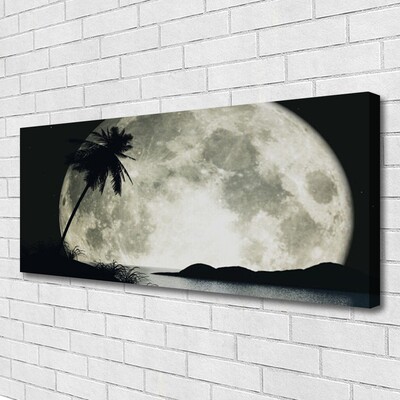 Schilderij op canvas Maan van de nacht landschap palm