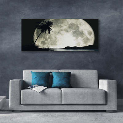 Schilderij op canvas Maan van de nacht landschap palm