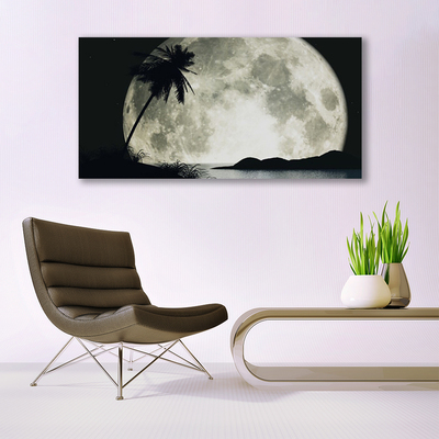 Schilderij op canvas Maan van de nacht landschap palm