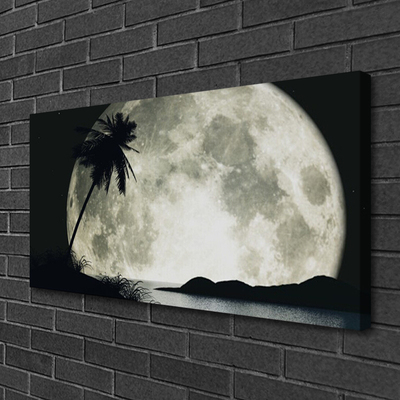 Schilderij op canvas Maan van de nacht landschap palm