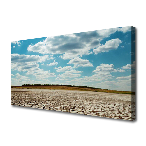 Schilderij op canvas Landschap van de woestijn van het zand