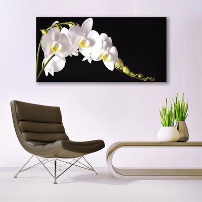 Schilderij op canvas Bloemen planten