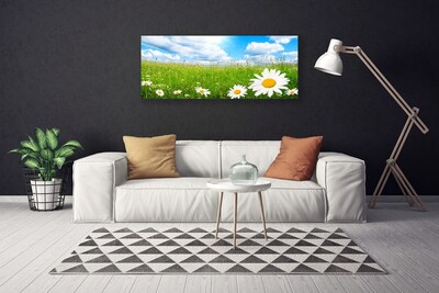 Schilderij op canvas Daisy grass nature