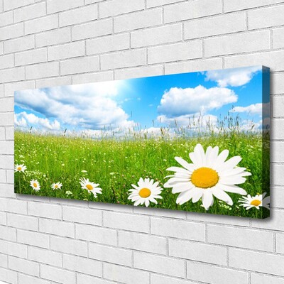 Schilderij op canvas Daisy grass nature