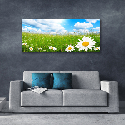 Schilderij op canvas Daisy grass nature