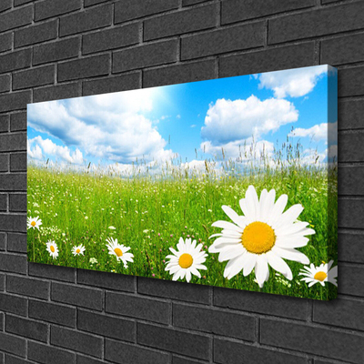 Schilderij op canvas Daisy grass nature