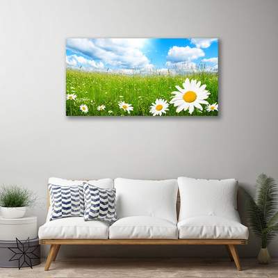 Schilderij op canvas Daisy grass nature