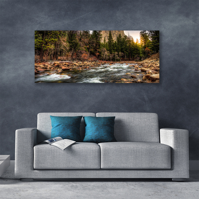 Schilderij op canvas Forest lake natuur water