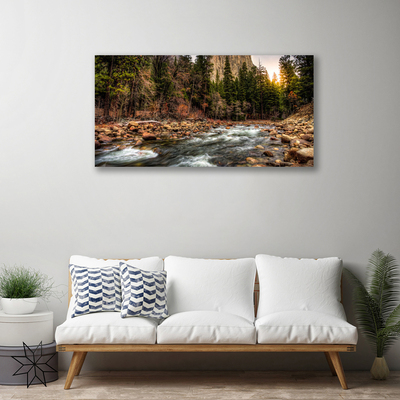 Schilderij op canvas Forest lake natuur water