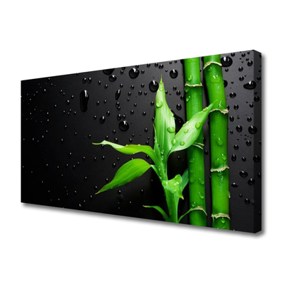 Schilderij op canvas Bladeren van het bamboe plant