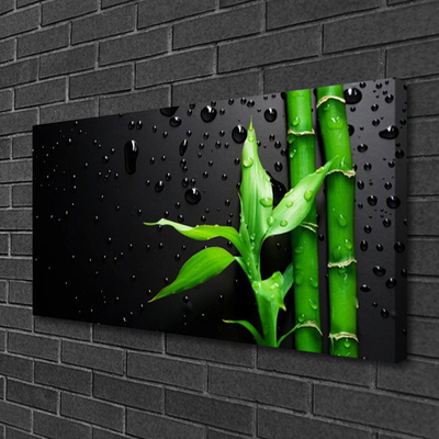 Schilderij op canvas Bladeren van het bamboe plant