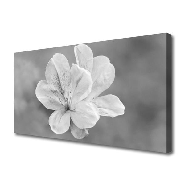 Schilderij op canvas Bloemen planten