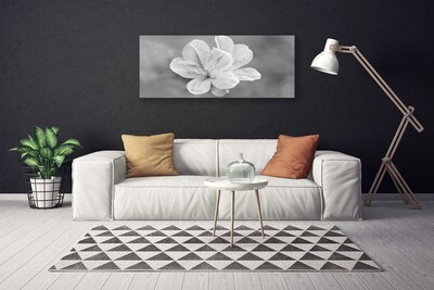 Schilderij op canvas Bloemen planten