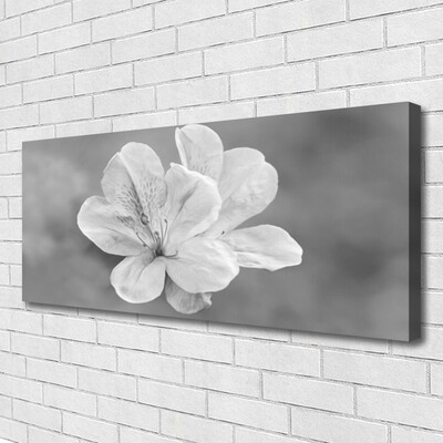 Schilderij op canvas Bloemen planten