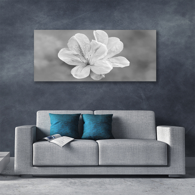 Schilderij op canvas Bloemen planten