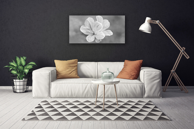 Schilderij op canvas Bloemen planten