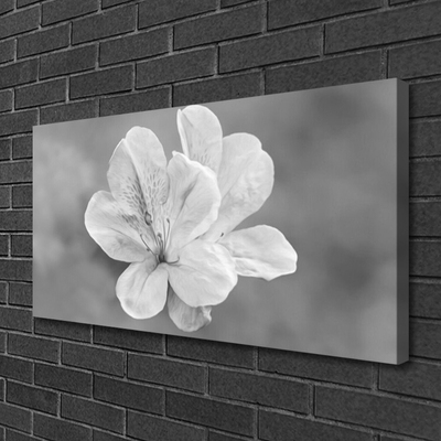 Schilderij op canvas Bloemen planten