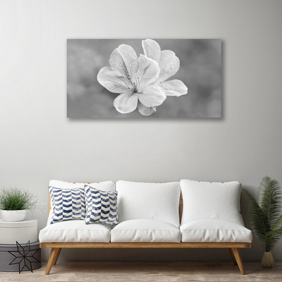 Schilderij op canvas Bloemen planten