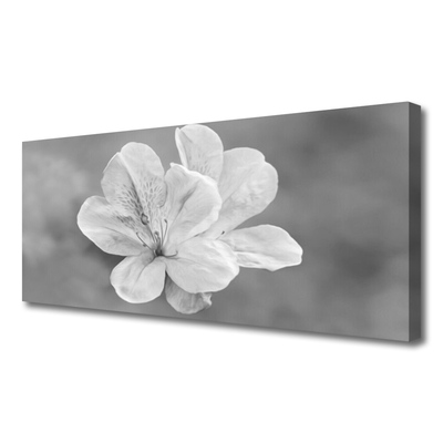 Schilderij op canvas Bloemen planten
