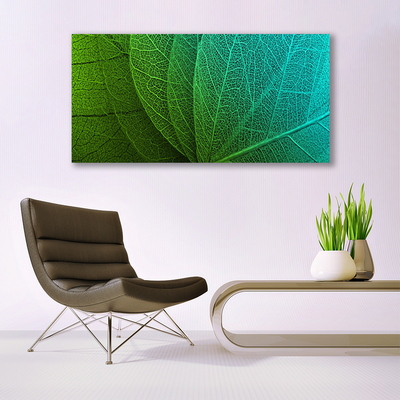 Schilderij op canvas Abstract plant leaves