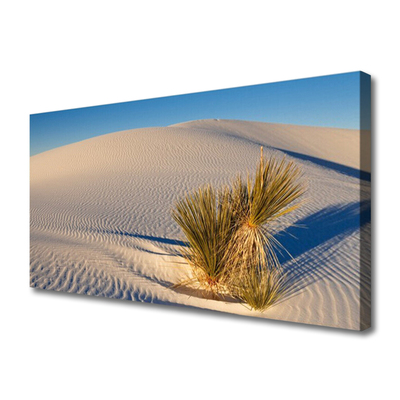 Schilderij op canvas Landschap van de woestijn van het zand