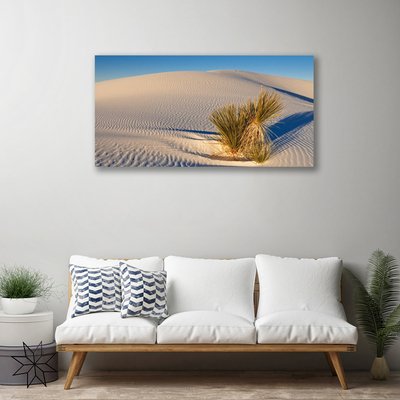 Schilderij op canvas Landschap van de woestijn van het zand