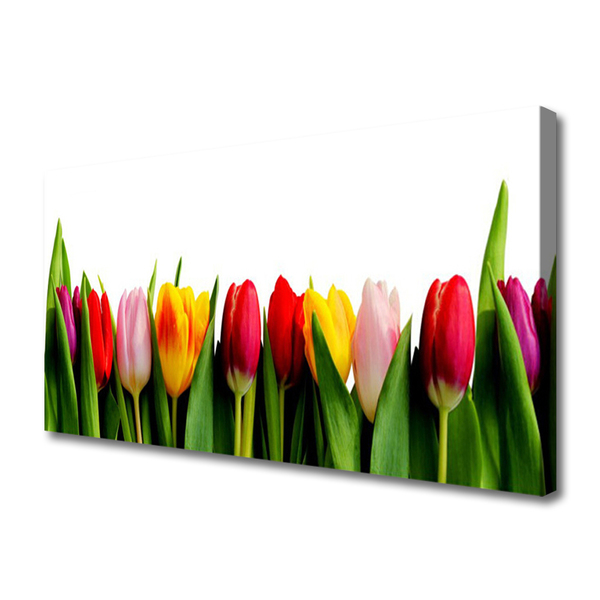 Schilderij op canvas Planten tulpen