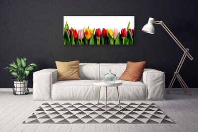 Schilderij op canvas Planten tulpen