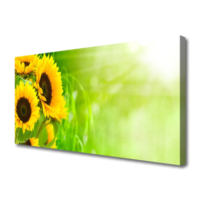 Schilderij op canvas Planten zonnebloemen