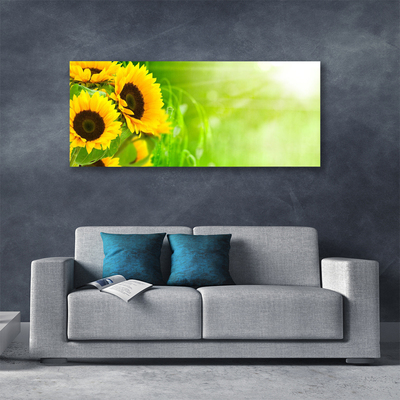 Schilderij op canvas Planten zonnebloemen