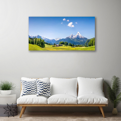 Schilderij op canvas Fields trees landschap van de berg