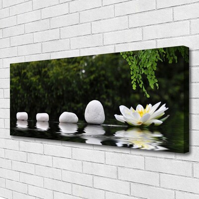 Schilderij op canvas Lotus flower waterlelie