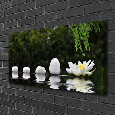 Schilderij op canvas Lotus flower waterlelie