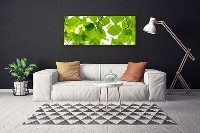 Schilderij op canvas Bladeren natuur plant