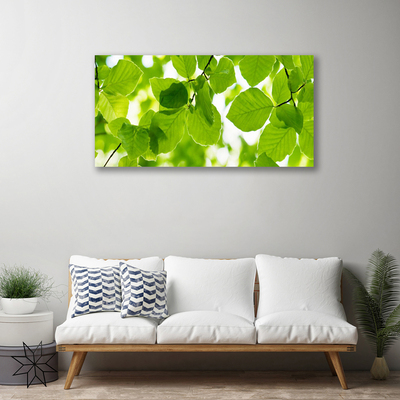 Schilderij op canvas Bladeren natuur plant