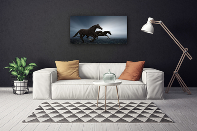 Schilderij op canvas Paarden dieren