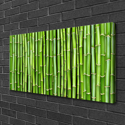 Schilderij op canvas Bamboo flower plant