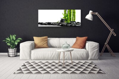 Schilderij op canvas Bamboo beautiful graphics