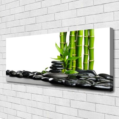 Schilderij op canvas Bamboo beautiful graphics