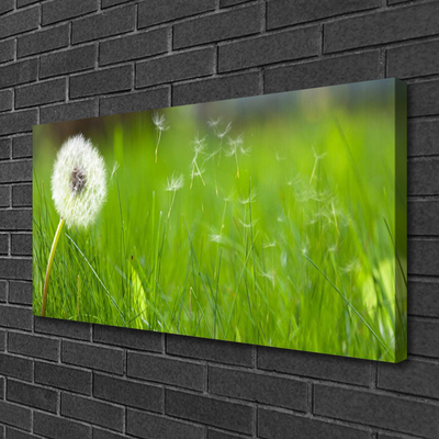 Schilderij op canvas Dandelion grass plant