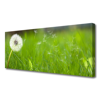 Schilderij op canvas Dandelion grass plant