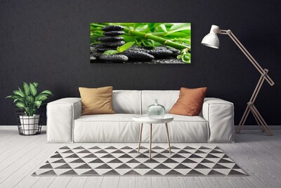 Schilderij op canvas Plant bamboo shoots