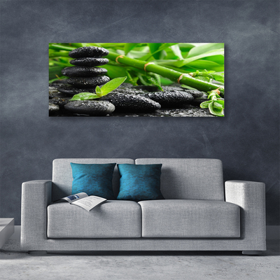 Schilderij op canvas Plant bamboo shoots