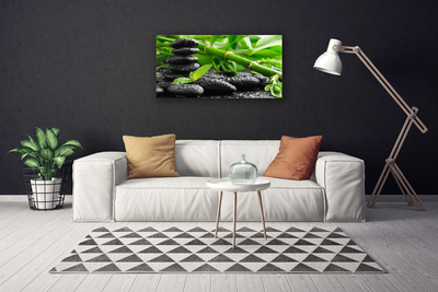 Schilderij op canvas Plant bamboo shoots